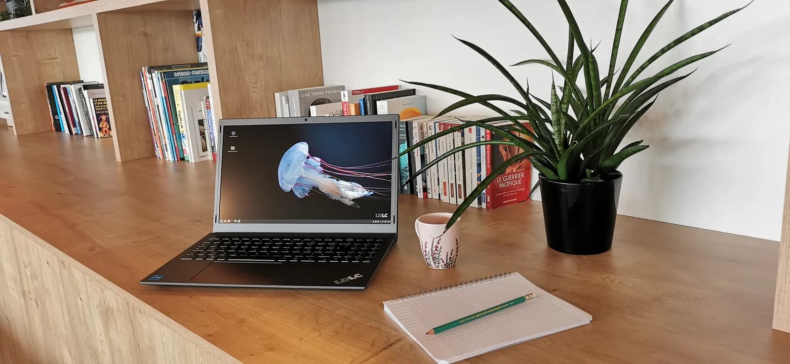 Visuel du projet Packshots