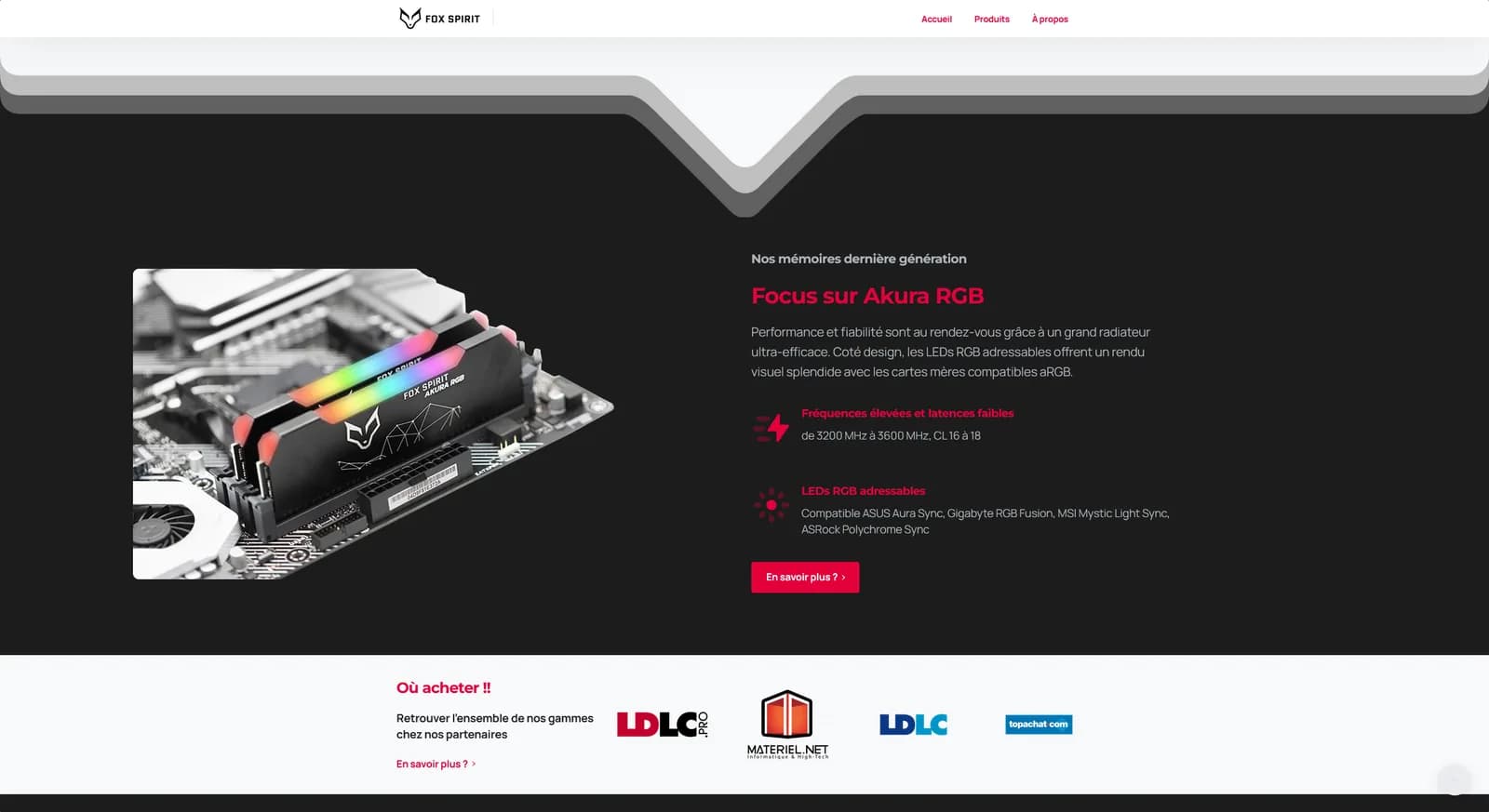 Focus mémoires Akura RGB sur carte mère, LEDs adressables
